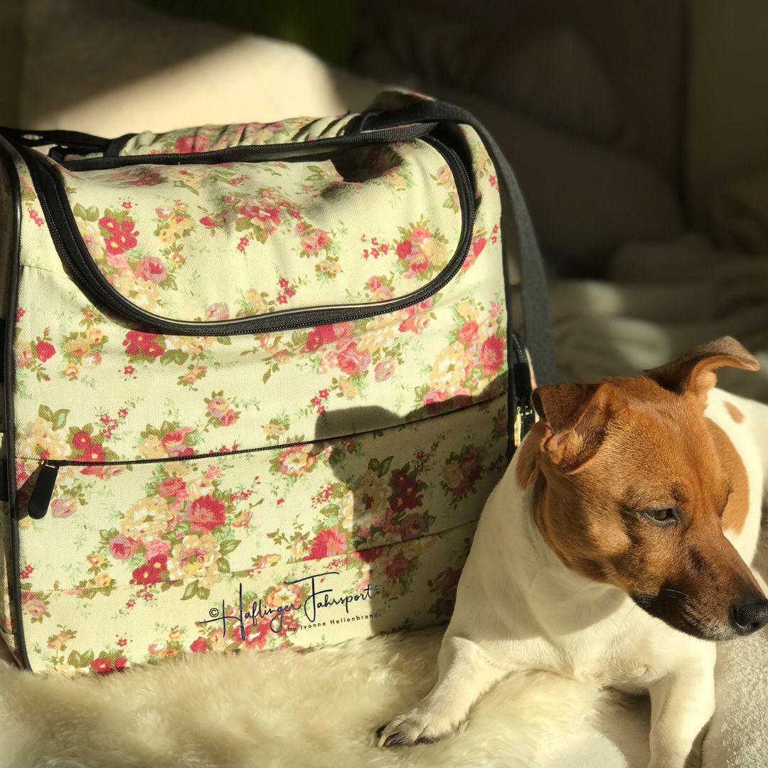 somehbags_customized_haflingerfahrsport.jpg