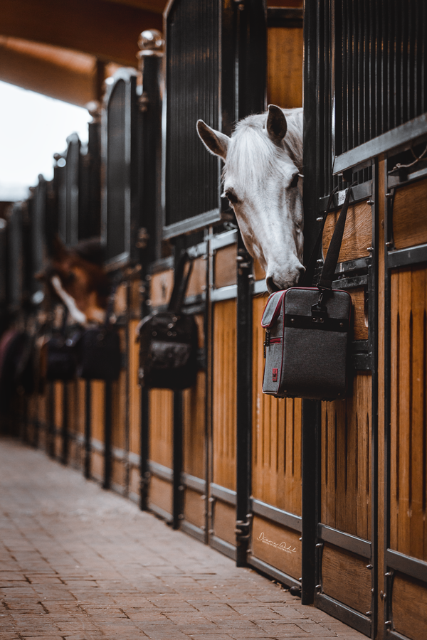 SOMÈH Grooming Bags